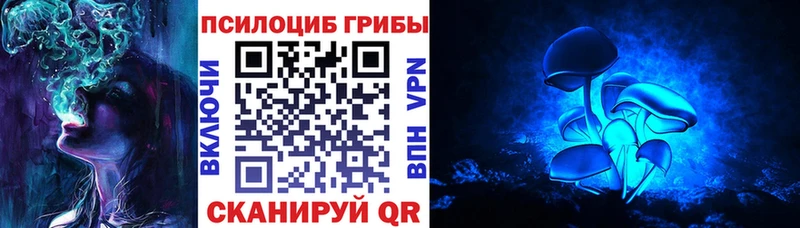 Галлюциногенные грибы Magic Shrooms  Купить  Цимлянск 